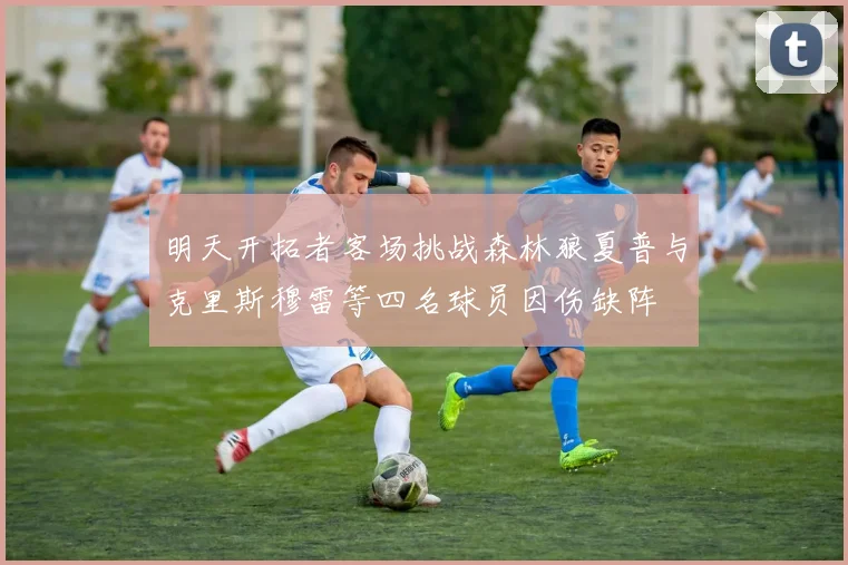 明天开拓者客场挑战森林狼夏普与克里斯穆雷等四名球员因伤缺阵