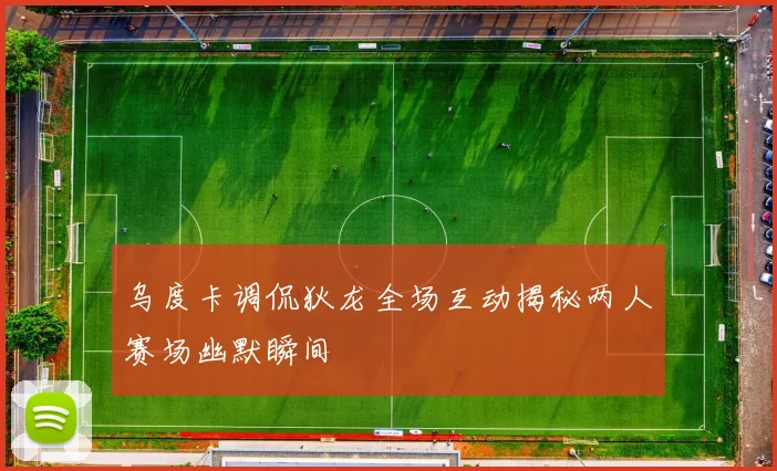 乌度卡调侃狄龙全场互动揭秘两人赛场幽默瞬间