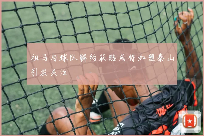 祖马与球队解约获赔或将加盟泰山引发关注