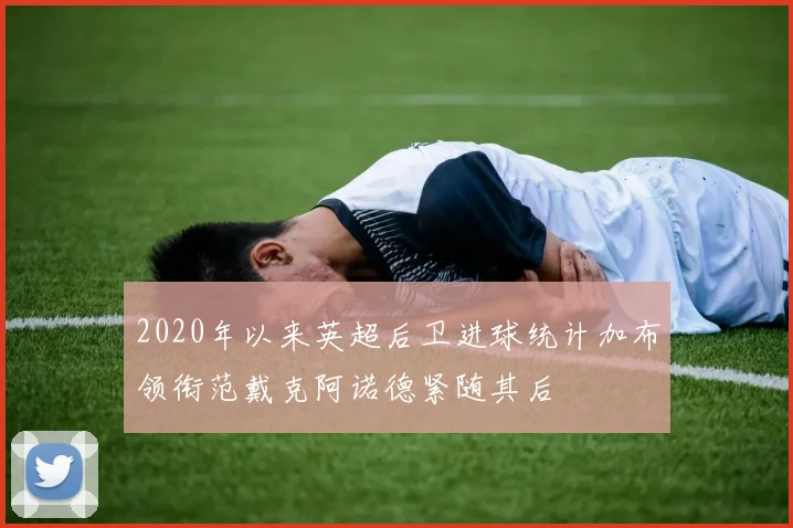 2020年以来英超后卫进球统计加布领衔范戴克阿诺德紧随其后